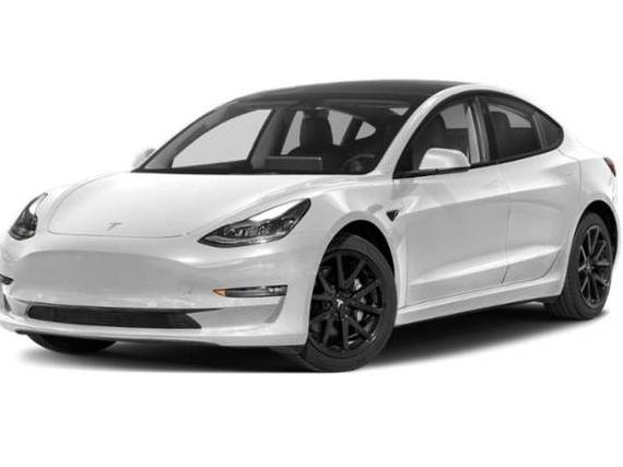 TESLA MODEL 3 2021 5YJ3E1EA0MF995117 image